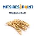 MITSIDES POINT